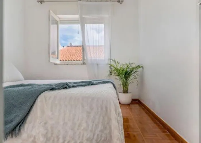 Casa Cinco 拉哥斯