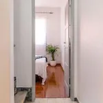 Casa Cinco